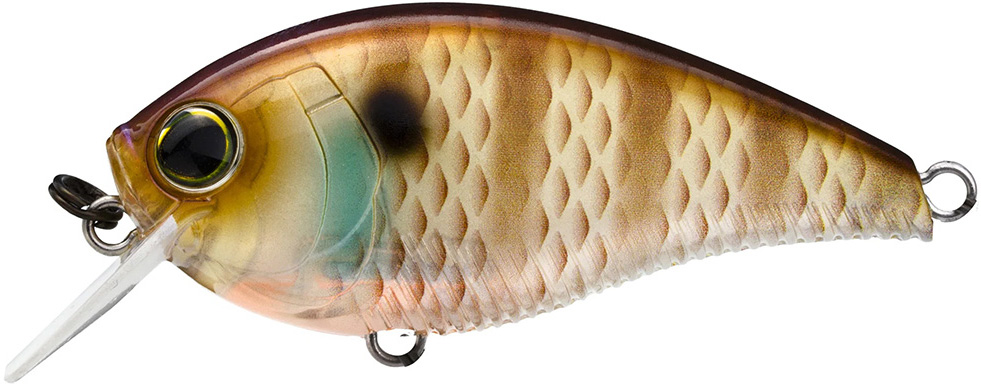 YU rirure♡ Yo-Zuri R1352 PSH 3db Crank 1.5squarebill Crankbait Floating for